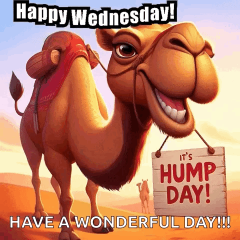 1-Hump Day