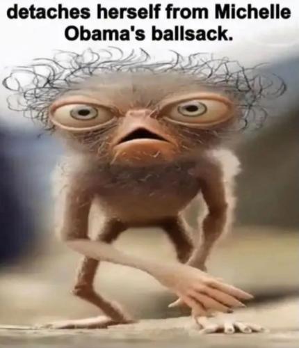 FB_IMG_1777586364396