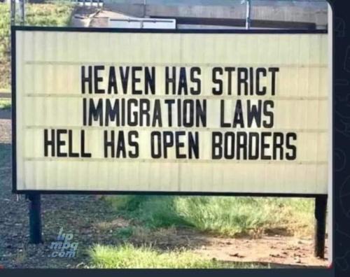 _main-qimg-aea9a1a8014e2b041372c360c6f0807d