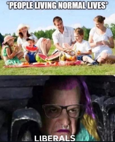 liberals-vs-people-normal-lives