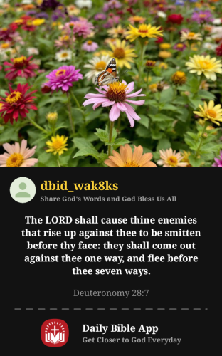 2026-04-141776192476462