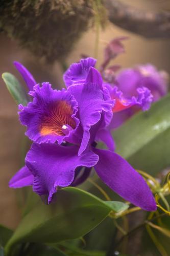 660140760_34562226190088800_6662255876491926926_n