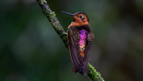 RDT_20260419_0022333119591042464300284