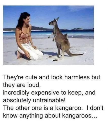 bf7fb11a-9452-46ee-8dcf-dd368bf2dc67