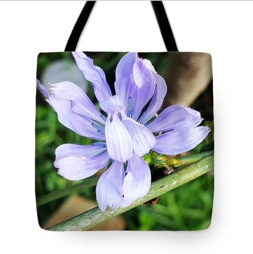 Screenshot_20260414_111440_Brave