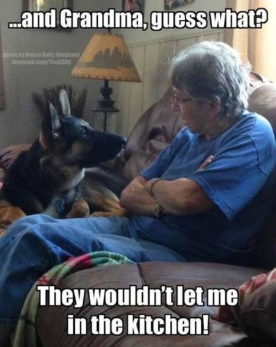 3c1d2802c4b5b5c92f91cf209febee32