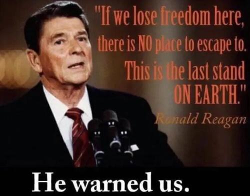 TESTHUB_photos_users_6KiKix2LfHMgErwyMhbRoWoEjTr2_vT3c@nDa5UZ91KFRK5u3_img_rsz__1100x1100