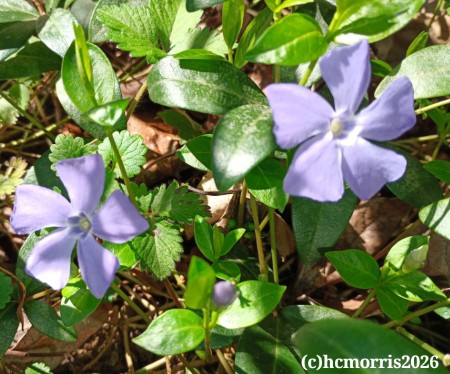 IMG_20260401_105917_601