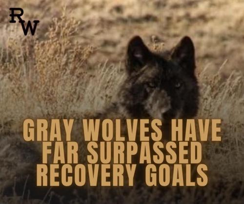 FB_IMG_1776999973430