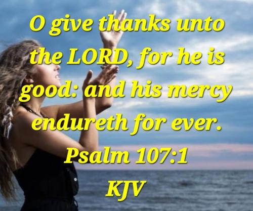 a380ebe1-5bda-49ad-bd2b-4d68376619ec