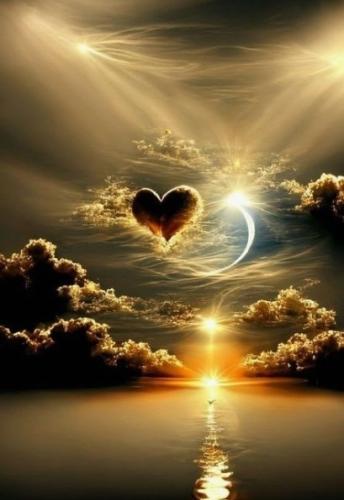 ccc73375-c254-4ca0-966c-0805414ef106