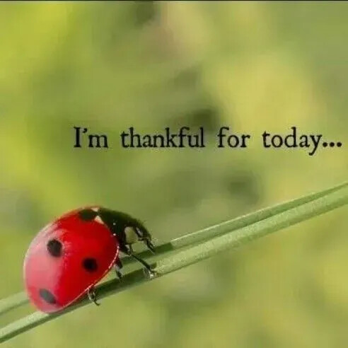 TESTHUB_photos_users_KPBY8Tc46ldqLjWXf6bqxqOW3AR2_-OpzRZanzRtIM-eiw-UL_img_rsz__1100x1100