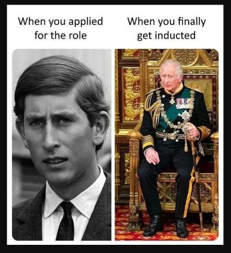 TESTHUB_photos_users_KPBY8Tc46ldqLjWXf6bqxqOW3AR2_-OpaAAaN5brsu8tKROIG_img_rsz__1100x1100