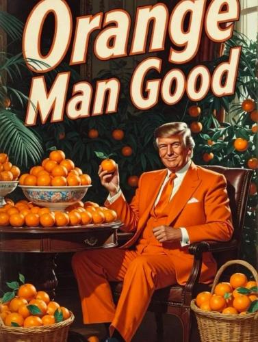 TESTHUB_photos_users_dw0pOp7g37bwd6WdIBpiG4LkOcL2_-OqWjv7DJ33RtqqRgYLf_img_rsz__1100x1100