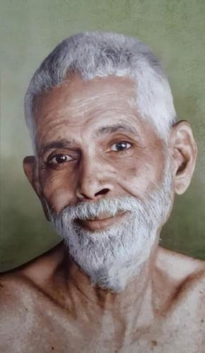 ,         418235313_73391130547