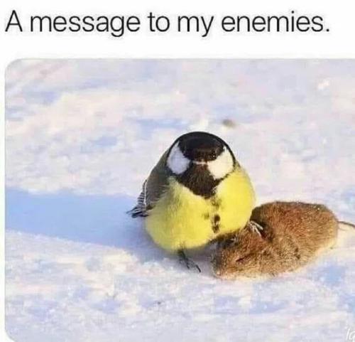 message-to-my-enemies