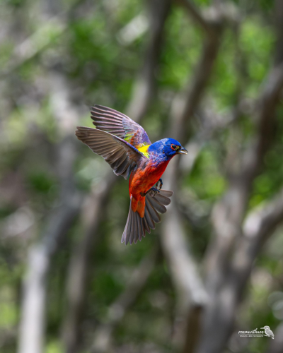 RDT_20260428_20332892325272697630328