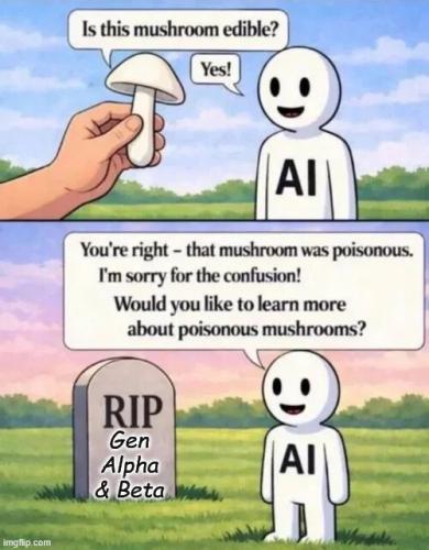 mushrooms