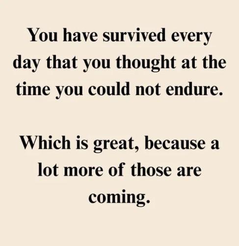 you-survived-every-day
