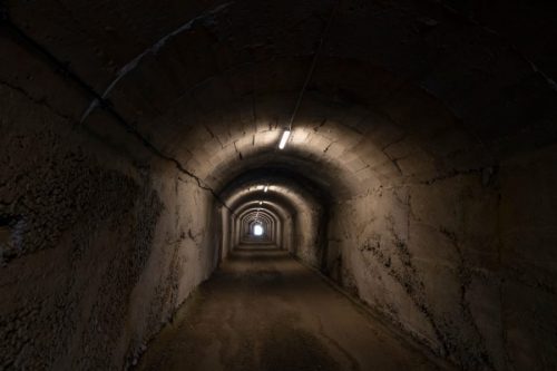 shutterstock_1106598305-e1584046836499-500x333