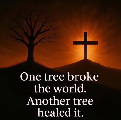 d9dffc44-ec69-4092-856b-a0fb54c86c85