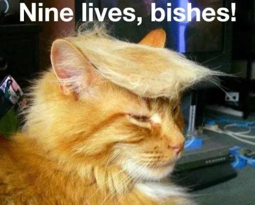 Resized_img_rsz__1100x1100_(26)