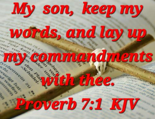 a528b8e3-ab06-4f5f-b8cb-467ad66f8efa