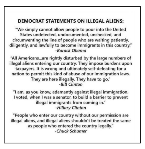 democrat statements on illegals