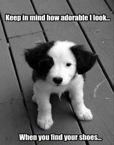 3b18afc8e4a479cc5ff2ba5ae0cabe1b