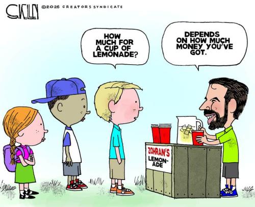 ZOHRAN MAMDANI LEMONAIDE