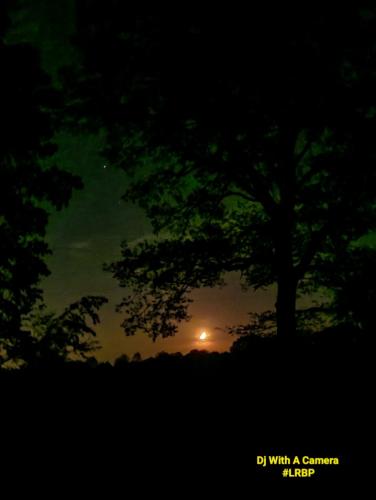 Screenshot_20260424_081902_Gallery