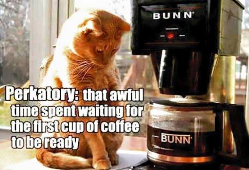 0123cd17a055fb52fb93b119c76e97fa