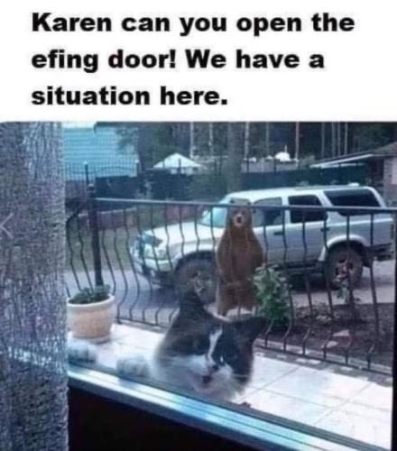 Screenshot_20260425_122900_Gallery