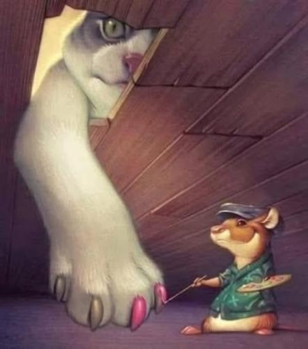 668849127_3357037671117675_618248188740034310_n