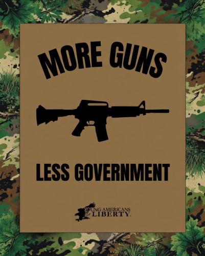 MORE GUNS LESS GOVT.!