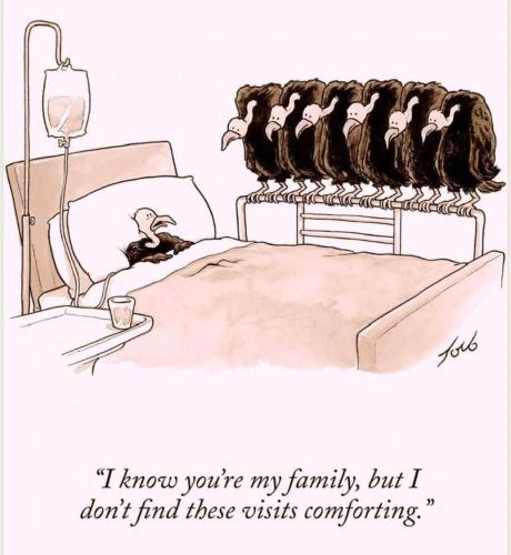 ljbAhBM75FZIKeK1NMX8_25_7303d10915ad4429da2294762a3d2bbe_image