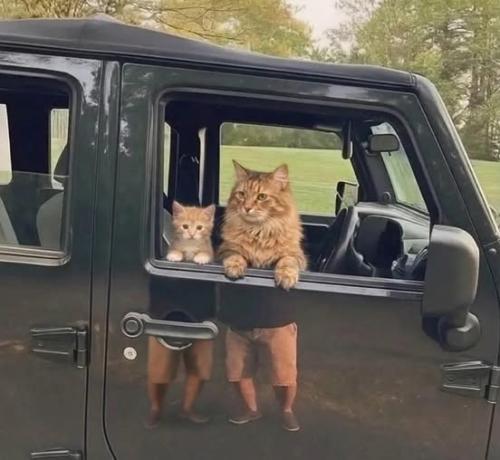 661378462_2177287336373410_5365155890128123925_n