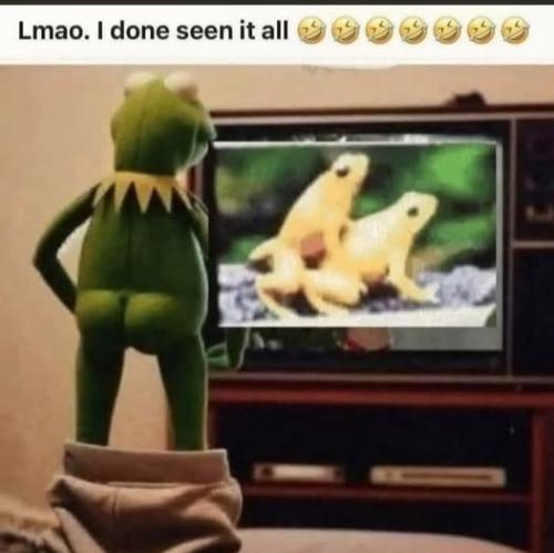 kermit_porn
