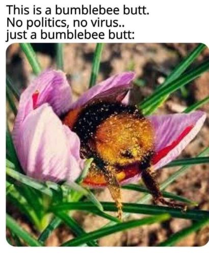 Screenshot_20260403_183635_Gallery