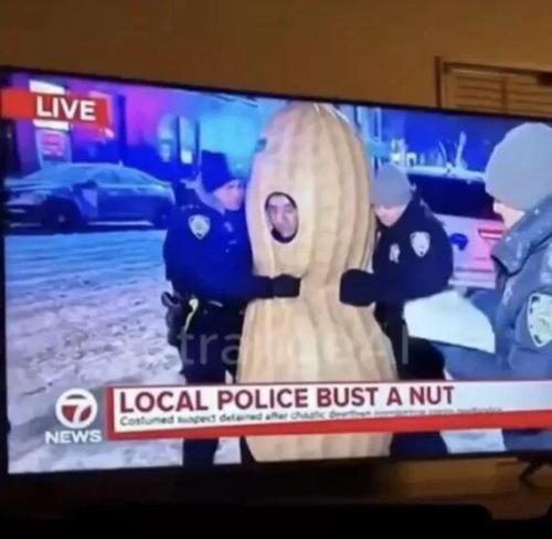 police-bust-a-nut