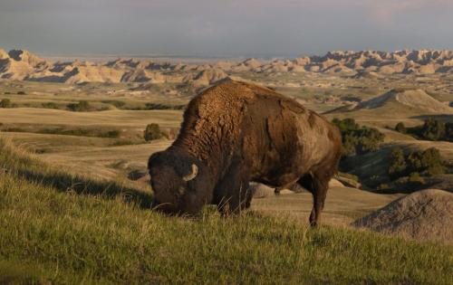 514506566_23942844055348369_8833220102040127216_n