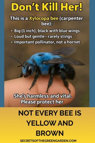 b83c44ee298f4de887b2b94279f27d9f