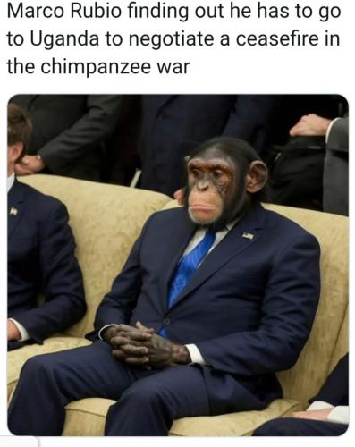 Screenshot_20260416-032005_Brave