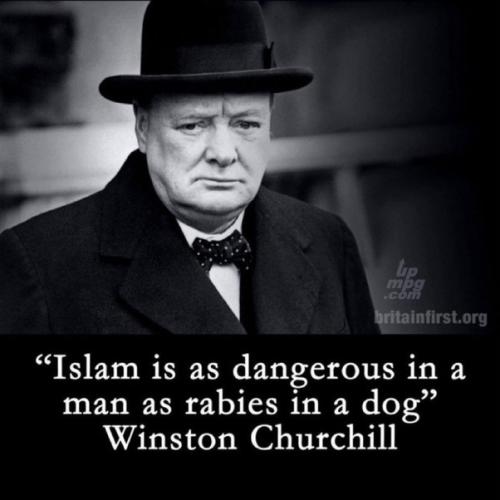 _main-qimg-ae59a3cde9a2dfe90b95b7b136086faa