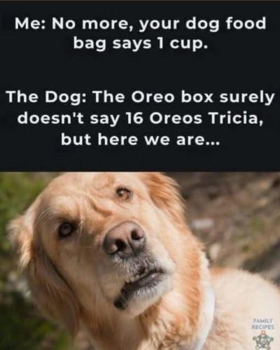 20260430_163123