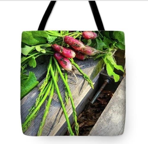 Screenshot_20260415_161421_Brave