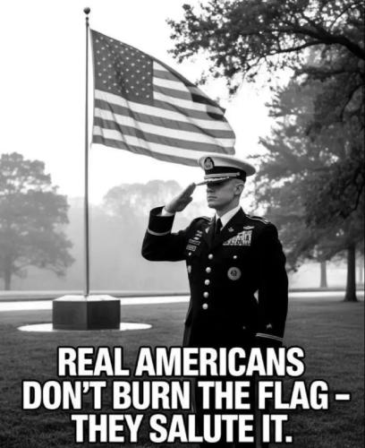 17575018832997951561668093274928_447319844752846