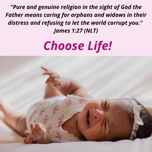 137660901_1257376871315032_1642571365695040571_n