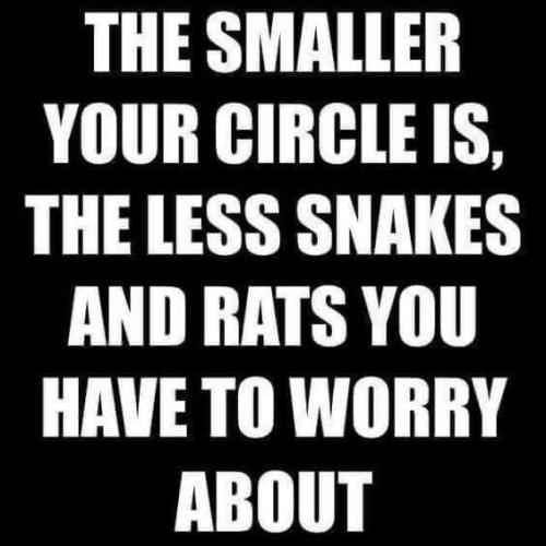 a3092e73c18d810ef3912e8cac0ac496