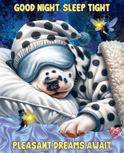 611658f72c41c1a8e08c2a2f2698755a